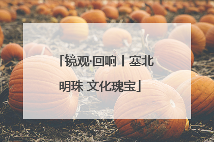 镜观·回响丨塞北明珠 文化瑰宝