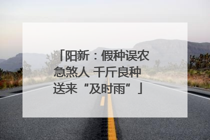 阳新：假种误农急煞人 千斤良种送来“及时雨”
