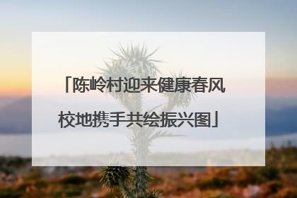 陈岭村迎来健康春风 校地携手共绘振兴图