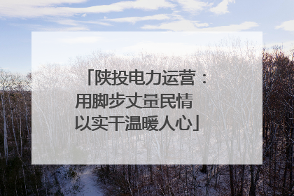 陕投电力运营：用脚步丈量民情 以实干温暖人心