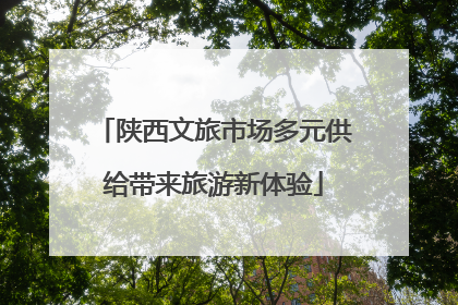 陕西文旅市场多元供给带来旅游新体验