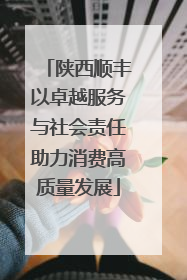 陕西顺丰以卓越服务与社会责任助力消费高质量发展