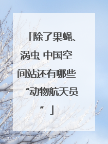 除了果蝇、涡虫 中国空间站还有哪些“动物航天员”