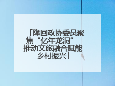 隆回政协委员聚焦“亿年龙洞” 推动文旅融合赋能乡村振兴