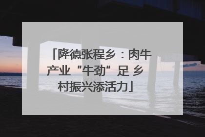 隆德张程乡：肉牛产业“牛劲”足 乡村振兴添活力
