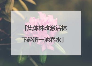 集体林改激活林下经济一池春水