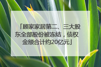顾家家居第二、三大股东全部股份被冻结，债权金额合计约20亿元