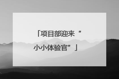 项目部迎来“小小体验官”