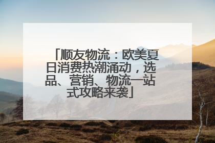 顺友物流：欧美夏日消费热潮涌动，选品、营销、物流一站式攻略来袭