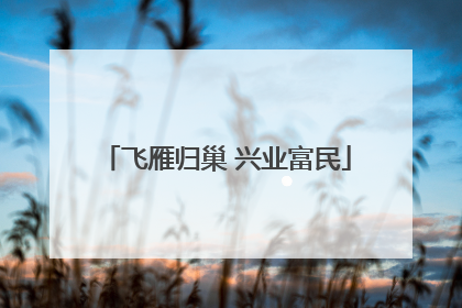 飞雁归巢 兴业富民
