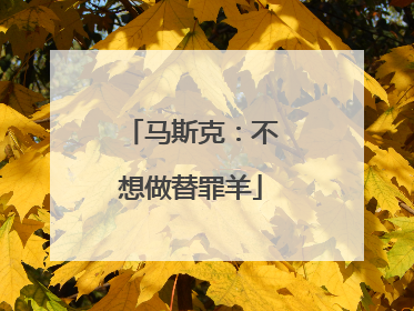 马斯克：不想做替罪羊