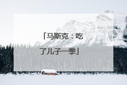 马斯克：吃了儿子一拳