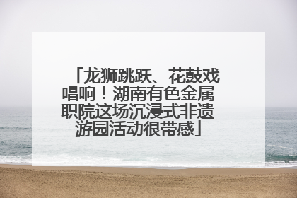 龙狮跳跃、花鼓戏唱响！湖南有色金属职院这场沉浸式非遗游园活动很带感