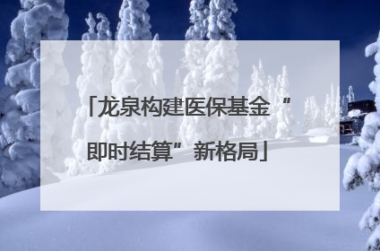 龙泉构建医保基金“即时结算”新格局