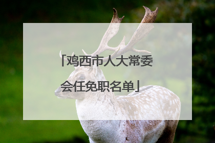 鸡西市人大常委会任免职名单