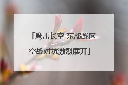 鹰击长空 东部战区空战对抗激烈展开