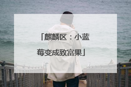 麒麟区：小蓝莓变成致富果