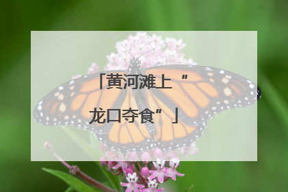 黄河滩上“龙口夺食”