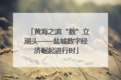 黄海之滨“数”立潮头——盐城数字经济崛起进行时
