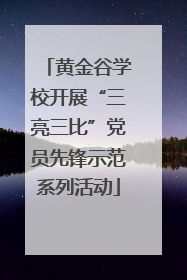 黄金谷学校开展“三亮三比”党员先锋示范系列活动