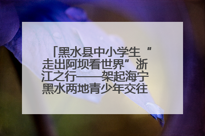 黑水县中小学生“走出阿坝看世界”浙江之行——架起海宁黑水两地青少年交往交流交融新桥梁