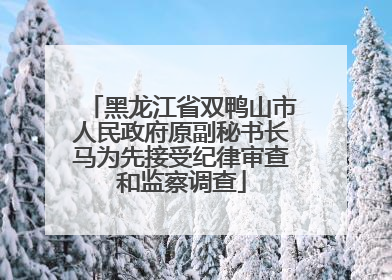 黑龙江省双鸭山市人民政府原副秘书长马为先接受纪律审查和监察调查