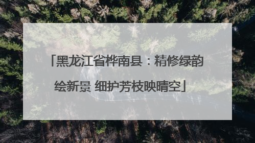 黑龙江省桦南县：精修绿韵绘新景 细护芳枝映晴空