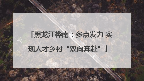 黑龙江桦南：多点发力 实现人才乡村“双向奔赴”