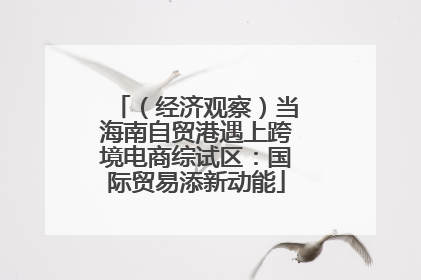 （经济观察）当海南自贸港遇上跨境电商综试区：国际贸易添新动能