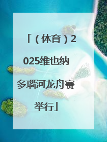 （体育）2025维也纳多瑙河龙舟赛举行