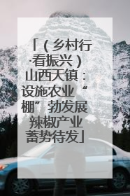 （乡村行·看振兴）山西天镇：设施农业“棚”勃发展 辣椒产业蓄势待发