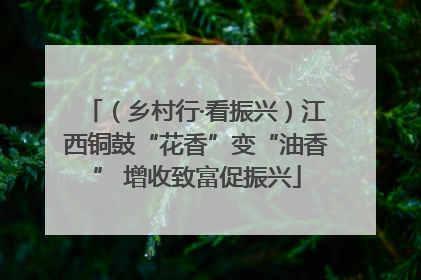 （乡村行·看振兴）江西铜鼓“花香”变“油香” 增收致富促振兴