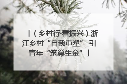 （乡村行·看振兴）浙江乡村“自我重塑” 引青年“筑巢生金”