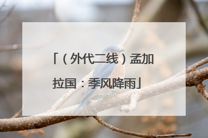 （外代二线）孟加拉国：季风降雨