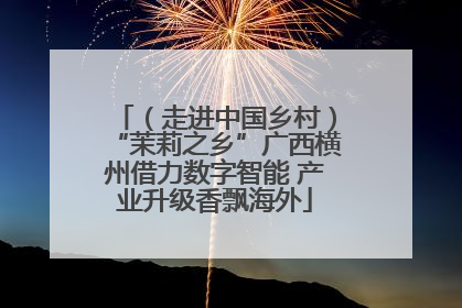 （走进中国乡村）“茉莉之乡”广西横州借力数字智能 产业升级香飘海外