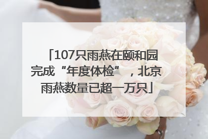 107只雨燕在颐和园完成“年度体检”，北京雨燕数量已超一万只