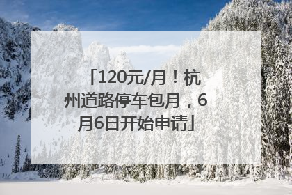 120元/月！杭州道路停车包月，6月6日开始申请