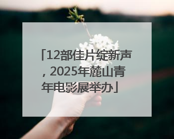 12部佳片绽新声，2025年麓山青年电影展举办