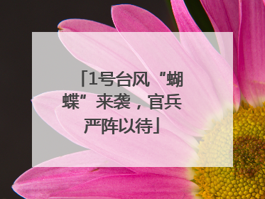 1号台风“蝴蝶”来袭，官兵严阵以待