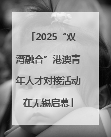 2025“双湾融合”港澳青年人才对接活动在无锡启幕
