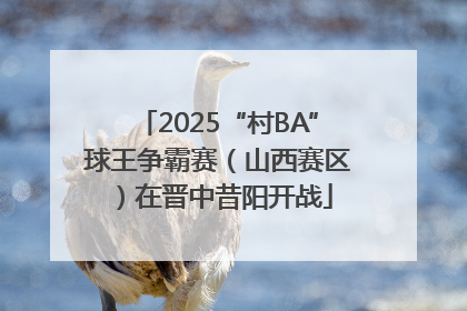 2025“村BA”球王争霸赛（山西赛区）在晋中昔阳开战