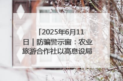 2025年6月11日｜防骗警示窗：农业旅游合作社以高息设局，集资380万