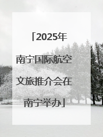 2025年南宁国际航空文旅推介会在南宁举办