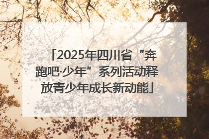 2025年四川省“奔跑吧·少年”系列活动释放青少年成长新动能