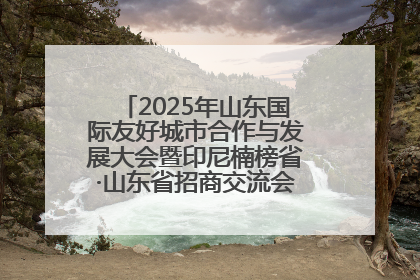 2025年山东国际友好城市合作与发展大会暨印尼楠榜省·山东省招商交流会在济南槐荫举行