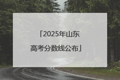 2025年山东高考分数线公布