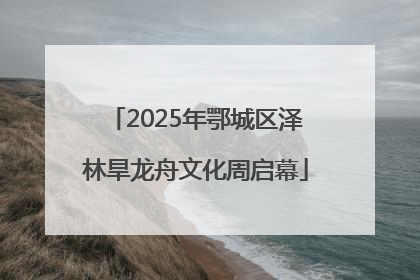 2025年鄂城区泽林旱龙舟文化周启幕