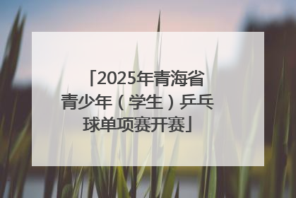 2025年青海省青少年（学生）乒乓球单项赛开赛