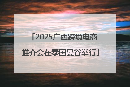 2025广西跨境电商推介会在泰国曼谷举行