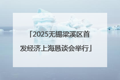 2025无锡梁溪区首发经济上海恳谈会举行